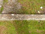 image of grave number 809137